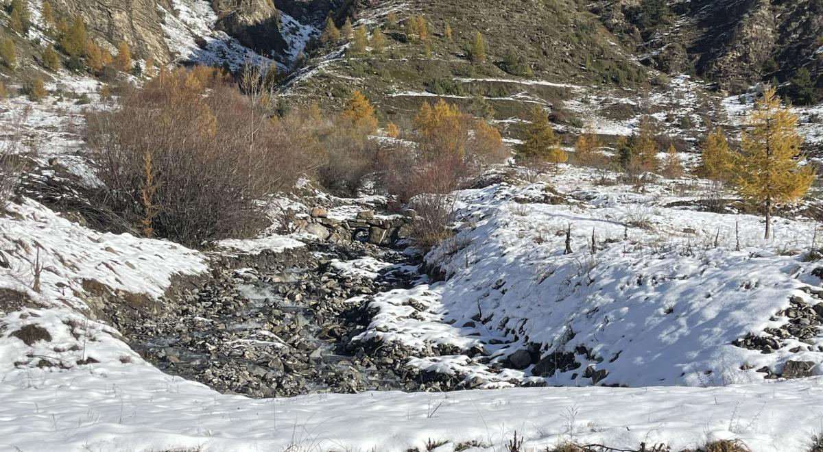 Buse piste piéton nordique 2