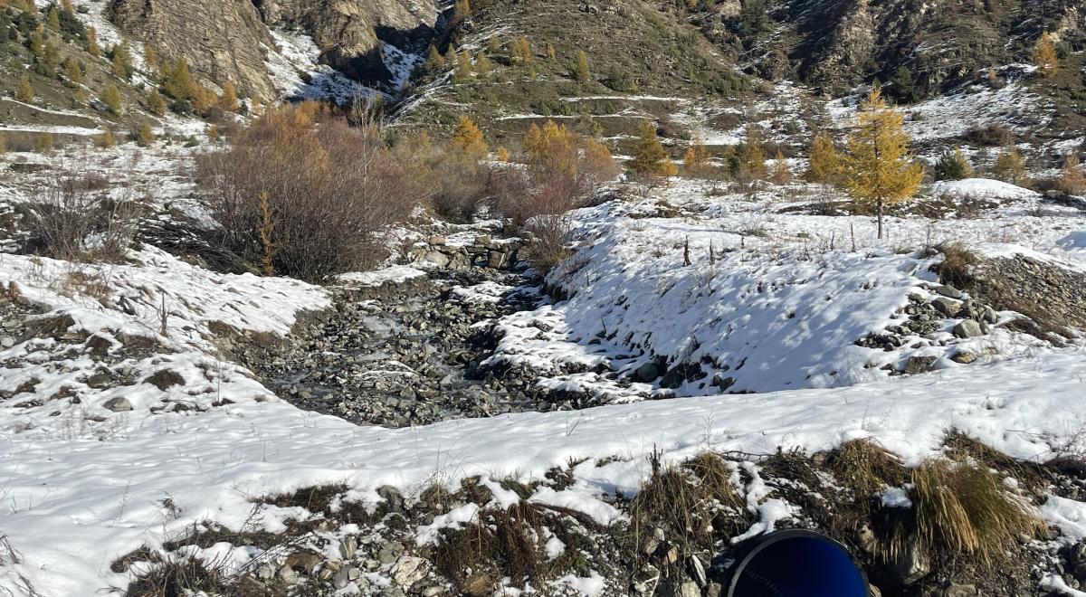 Buse piste piéton nordique