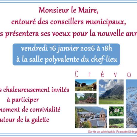 Voeux du Maire